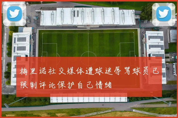 梅里诺社交媒体遭球迷辱骂球员已限制评论保护自己情绪